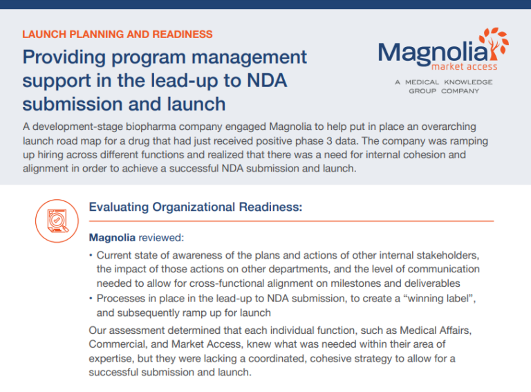 screenshot of Providing program management support in the lead-up to NDA submission and launch pdf